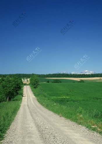 乡间小路风景图片