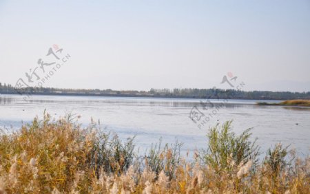 小白河湿地图片