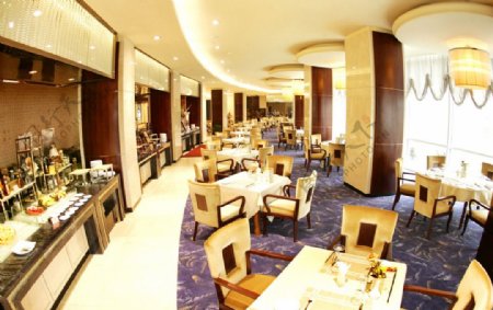 泰山东尊酒店西餐厅图片
