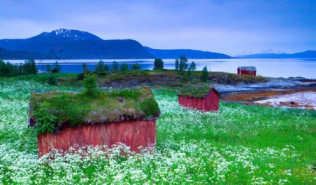 红木屋与鲜花草丛美景图片