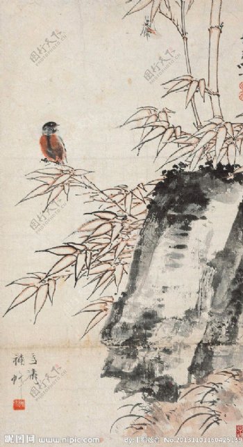 竹石小鸟图片