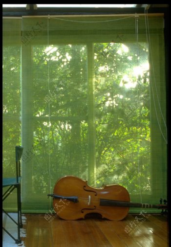 落地窗前的大提琴图片