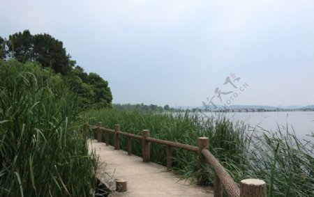 东湖风光图片