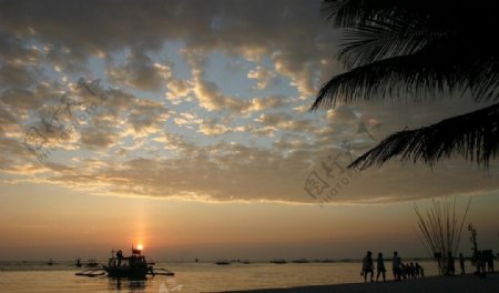 椰树夕阳图片