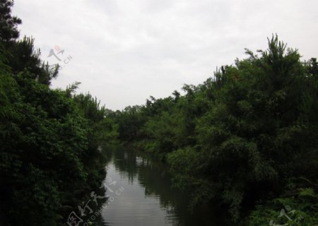 林间小溪图片