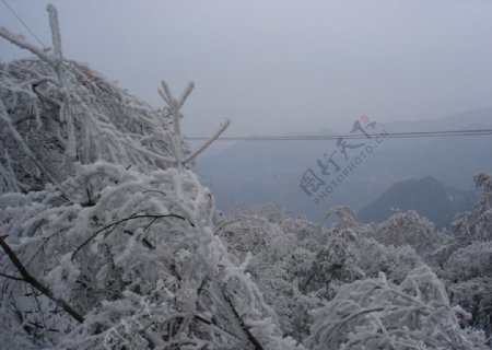 光雾山冬景图片