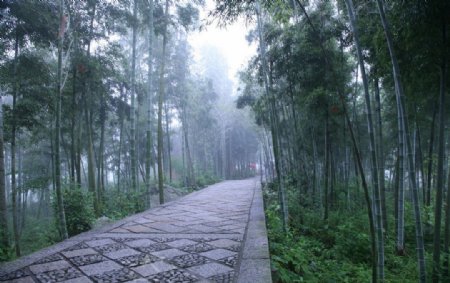 明月山风景图片