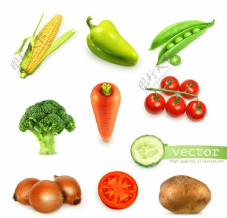 蔬菜图标设计矢量素材图片