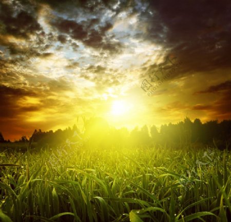 夕阳下的唯美草原图片