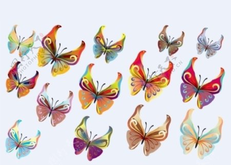 100多款蝴蝶素材图片