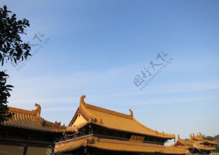 寺庙屋顶图片