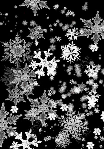 雪花笔刷小雪子大雪片鹿角图片