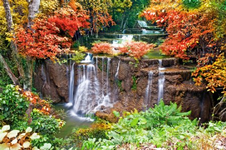 秋季林间瀑布图片