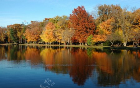 秋天的湖畔图片