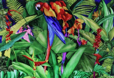 热带植物绘画图片