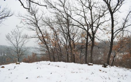 北京西山晴雪景色图片