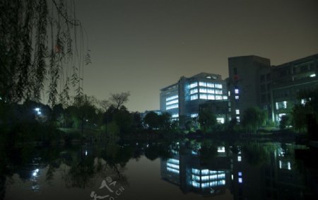 学涯湖夜景图片