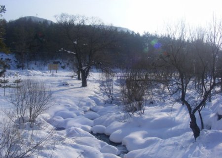 冬日小溪雪景图片