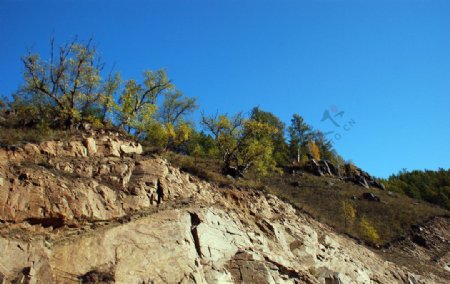 秋天岩石上的树林图片