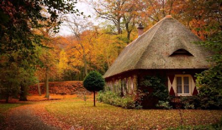 秋天的茅草屋图片