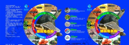 海蓝蓝猪鼻龟食粮图片