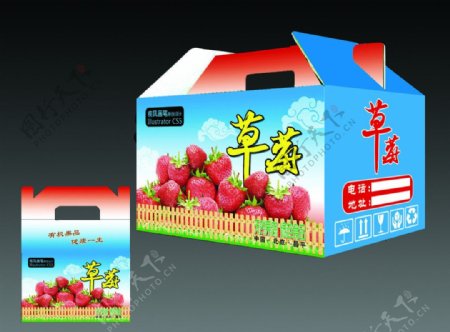 草莓包装盒平面图无效果图图片