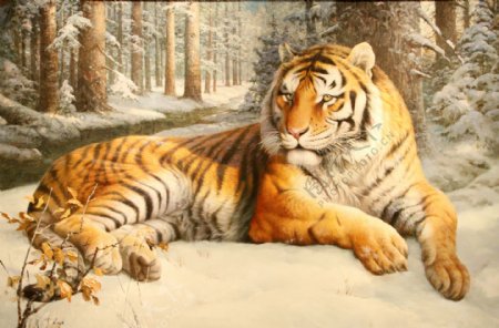 白雪中的老虎图片