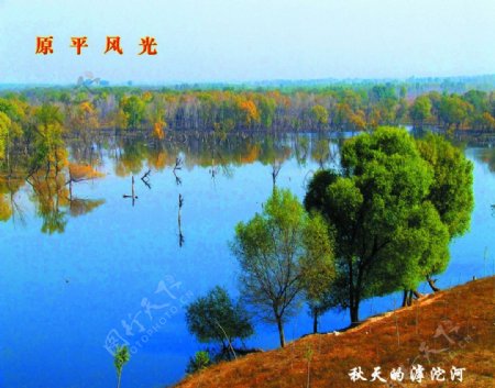 滹沱河秋景图片