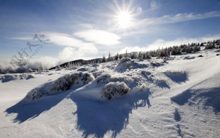 高原雪地风光图片