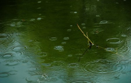 雨潭听雨声图片