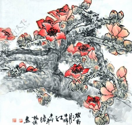 岭南三月木棉红图片