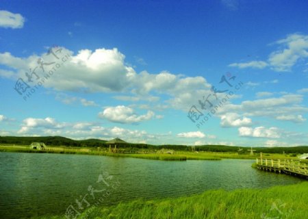 湿地风光图片