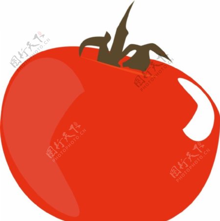 番茄水果CDR矢量图图片