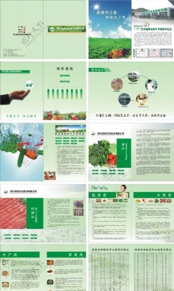 蔬菜宣传册图片