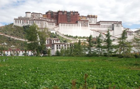 布达拉宫远景图片