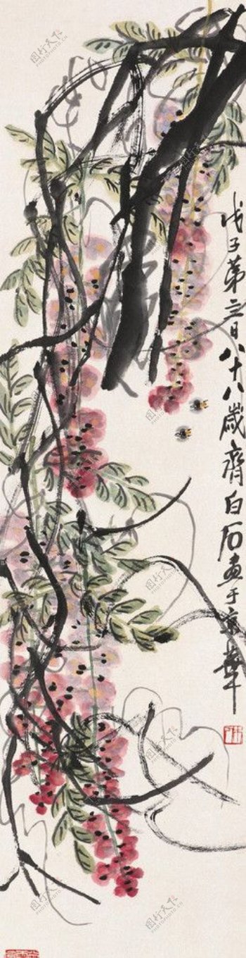 藤萝蜜蜂图片