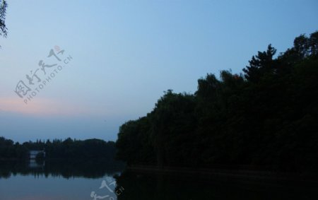 夜幕下的兴园湖图片