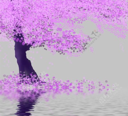 紫色树图片