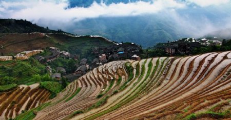 广西桂林平安寨风景图图片