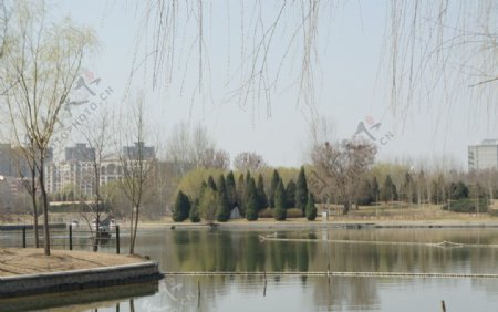 朝阳公园图片