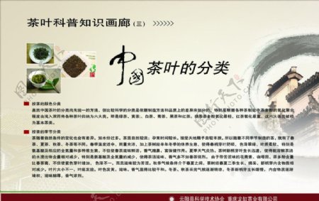 中国茶叶的分类图片