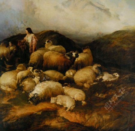 农民和羊图片