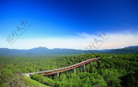 森林高架桥图片