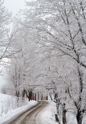 冬季下雪风光图片