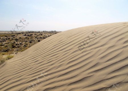 沙的纹理图片