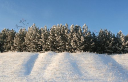 冬日风光图片