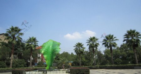 湘潭城市绿化带风景图片
