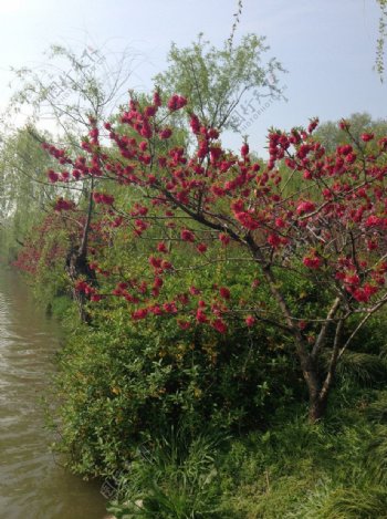 扬州美景图片