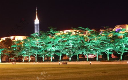 大连人民广场夜景图片