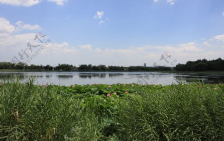 颐和园昆明湖西提风光图片